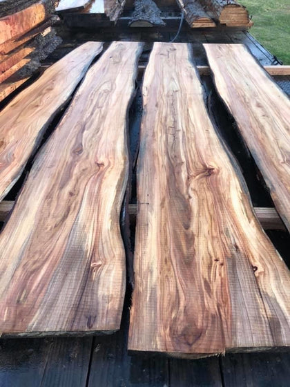 Live edge Planks